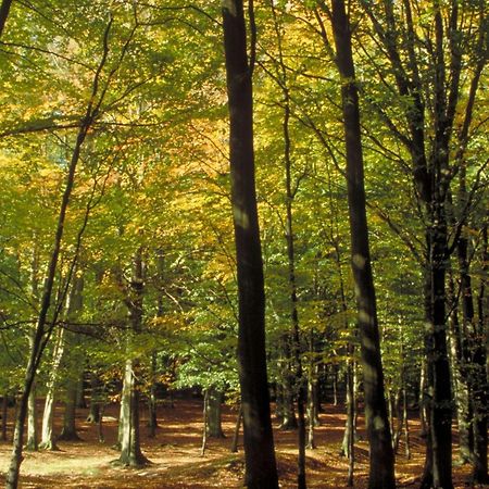 Aigle Noir Fontainebleau Mgallery Dış mekan fotoğraf