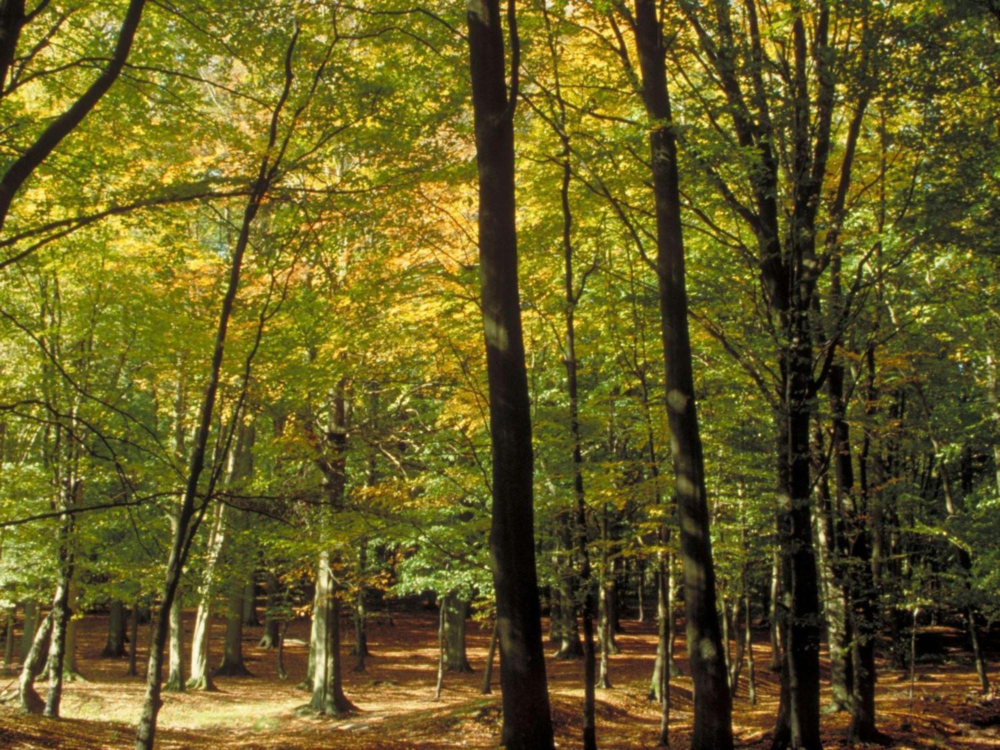 Aigle Noir Fontainebleau Mgallery Dış mekan fotoğraf